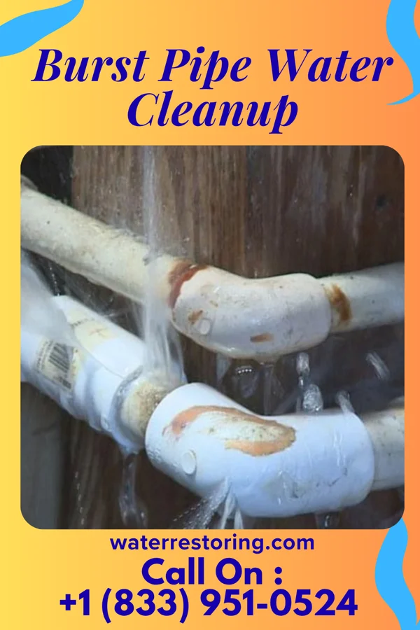 Burst Pipe Water Cleanup in Bridgman, MI
