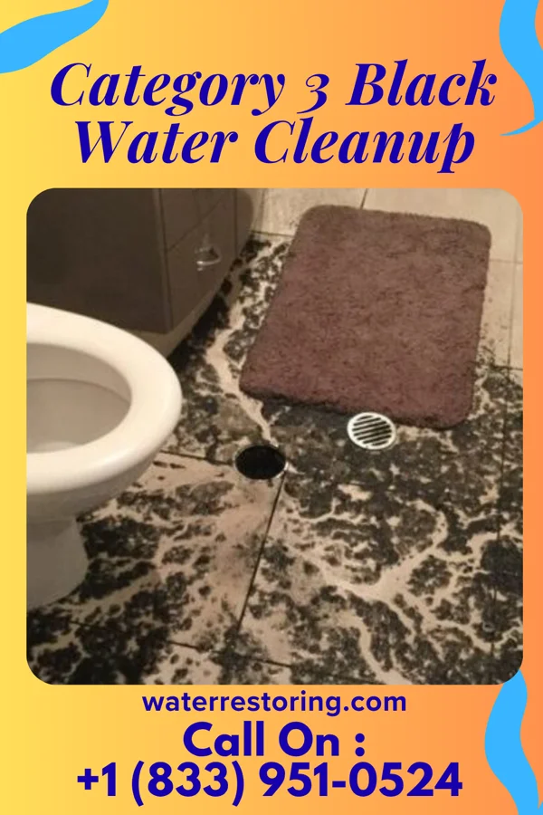 Category 3 Black Water Cleanup in Bridgman, MI