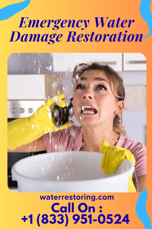 Emergency Water Damage Restoration in Bridgman, MI
