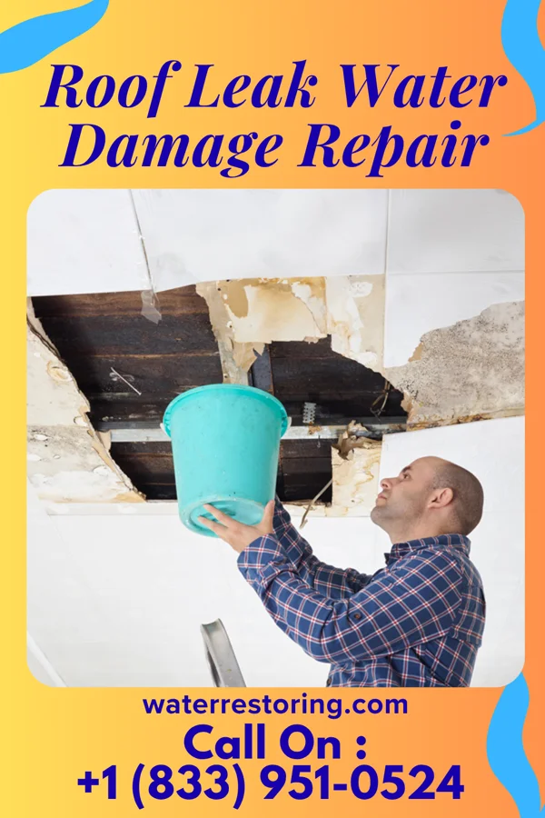 Roof Leak Water Damage Repair in Bridgman, MI