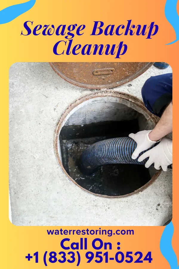 Sewage Backup Cleanup in Bridgman, MI