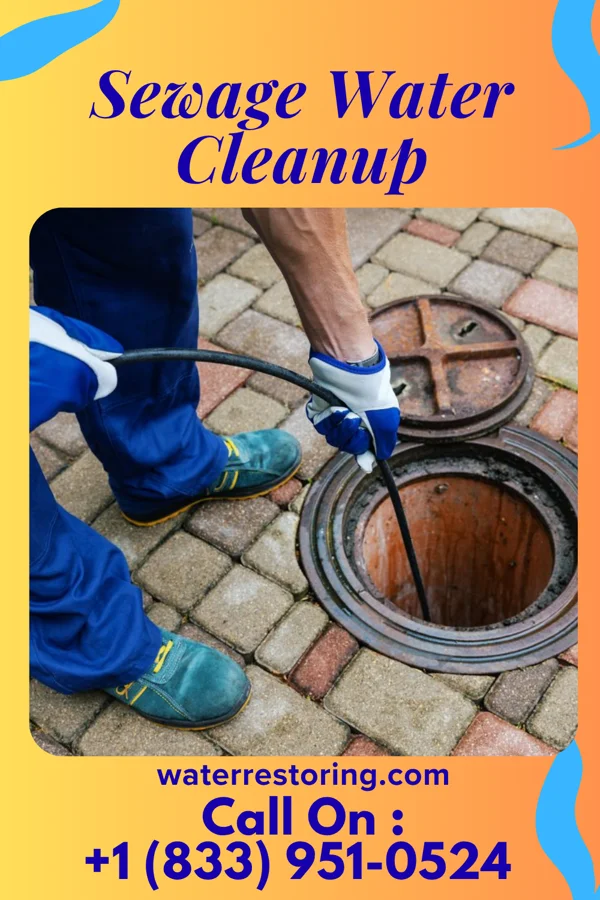 Sewage Water Cleanup in Bridgman, MI