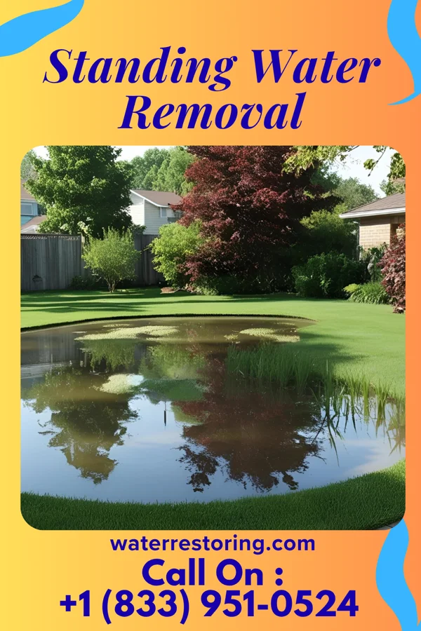 Standing Water Removal in Bridgman, MI